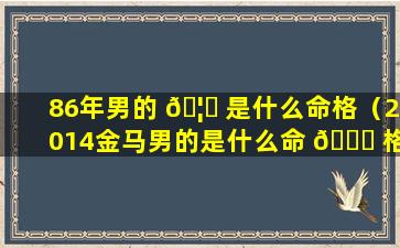 86年男的 🦅 是什么命格（2014金马男的是什么命 🐋 格）